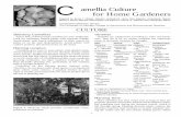 Camellia Culture for Home Gardeners