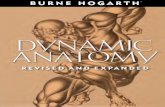 Dynamic Anatomy Burne Hogarth - archive.org