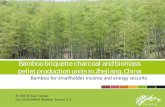 Bamboo briquette charcoal and biomass pellet production ...