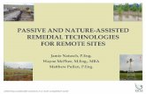 PASSIVE AND NATURE-ASSISTED REMEDIAL TECHNOLOGIES …