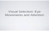 Visual Attention Presentation