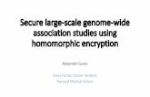 Secure large-scale genome-wide association studies using ...