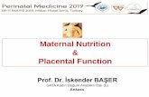 Maternal Nutrition Placental Function