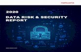 2020 Data Risk Security Report - Netwrix