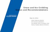 Snow and Ice Gridding Status and Recommendations