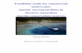 Feasibility study for commercial underwater marine viewing ...