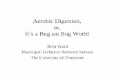 Aerobic Digestion, It’s a Bug eat Bug World
