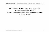 Health Effects Support Document for Perfluorooctane ...