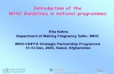 Introduction of the WHO Guidelines in national programmes