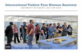 International Visitors Tour Human Anatomy