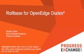 Rollbase for OpenEdge Dudes
