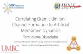 Correlating Gramicidin Ion- Channel Formation to ...