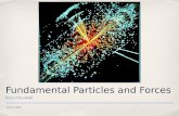 Fundamental Particles and Forces