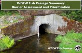 Fish Passage Barriers