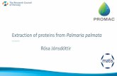 Extraction of proteins from Palmaria palmata