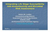 Integrating Life Stage Susceptibility into Immuntoxicity ...