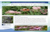 Lincoln University Cooperative Extension • Native Plants ...