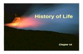History of Life.ppt [Read-Only]