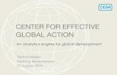 CENTER FOR EFFECTIVE GLOBAL ACTION