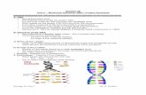 Biology 30 Unit C – Molecular Genetics: DNA / Protein ...