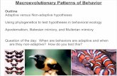Macroevolutionary Patterns of Behavior