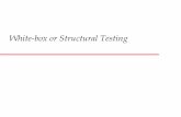 White-box or Structural Testing - Moodle
