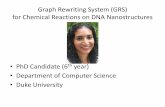 Graph Rewriting System (GRS) for Chemical Reactions on DNA ...