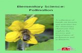 Elementary Science: Pollination