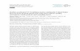 Surface erythemal UV irradiance in the continental United ...