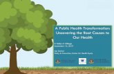 TITLE: Health Equity Report 2017, Uncovering the Root ...