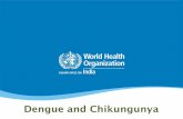Dengue and Chikungunya - Weebly