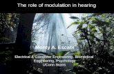 The role of modulation in hearing - Home | UConn Health