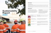 CEO Approach Sustainability Report