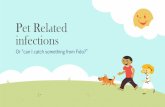 Pet Related infections - acoi.org