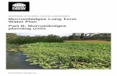 Murrumbidgee Long-Term Water Plan Part B Planning Units