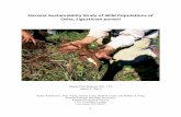 Harvest Sustainability Study of Wild Populations of Osha ...