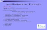 Neural Manipulation 1 Preparation - Barral Institute