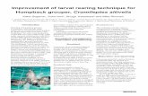 Improvement of larval rearing technique for Humpback ...