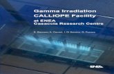 Gamma Irradiation CALLIOPE Facility