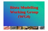Biota Modelling Working Group (WG4)
