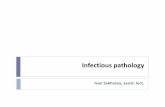 Infectious pathology - BSMU