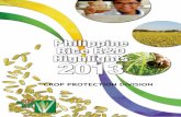 CROP PROTECTION DIVISION - Philippine Rice Research Institute