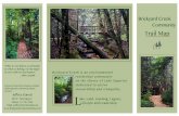 Explore the Forest Brochure - Brickyard Creek Community