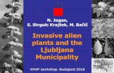 Invasive alien plants and the Ljubljana Municipality
