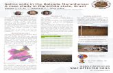 Saline soils in the Baixada Maranhense: A case study in ...