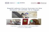 Rapid Labour Force Survey on the Impact of COVID-19 in Egypt
