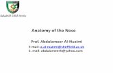Anatomy of the Nose - كلية الطب