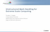 Unstructured Mesh Handling for Extreme-Scale Computing