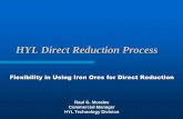 HYL Direct Reduction Process - Market-Ing