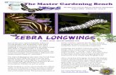 Zebra Longwings - sfyl.ifas.ufl.edu